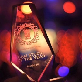 Studio 20, cel mai bun studio de videochat la AW Awards 2016